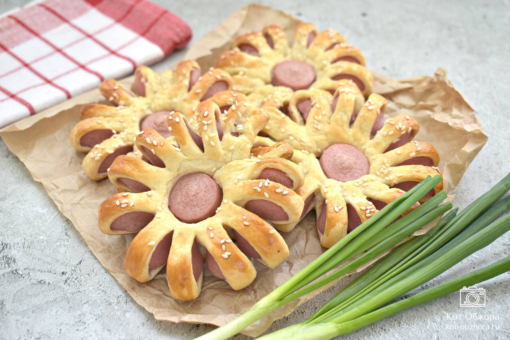 Ананасовые хризантемы